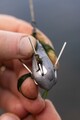 Korda Grapple Lead Peillood