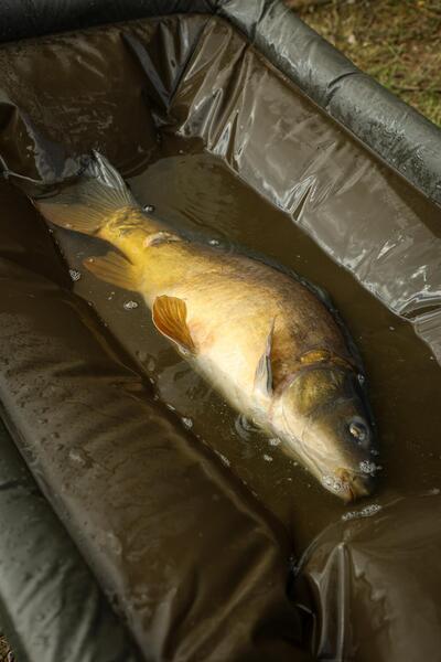 Fox Carpmaster Welded Cradle