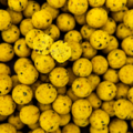 Pro Line Boilies