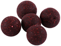Pack d'appâts automnaux pour Carpe Ultimate Baits