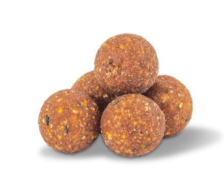 Anaconda AI Carp R2 Cream Tigernuss Boilies 1kg 20mm