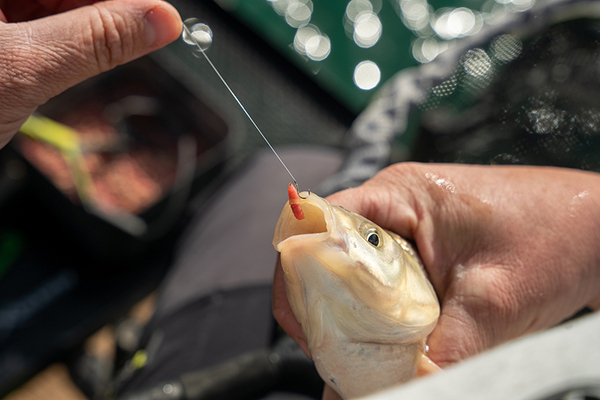 Matrix Super Soft Bait Bands (100 sztuk)