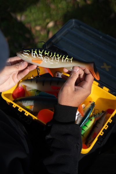 Illex Sucker Punch 250 MR Swimbait 25cm (205g)