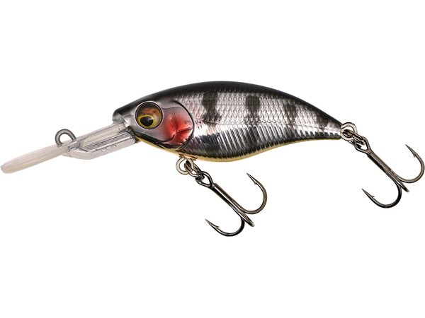 Set Westin Gift Box Radek Filips Favorites (5 pièces)