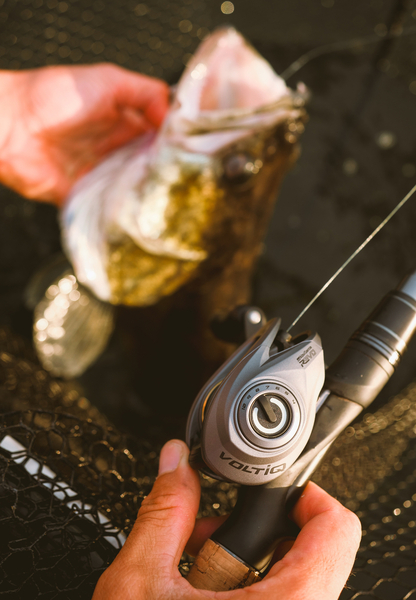 Abu Garcia Revo X VoltIQ LP Multiplikator LH (Elektroniczny System Hamulcowy)