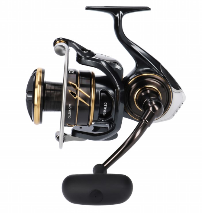 Daiwa Caldia SW Zeevis Molen | Visdeal