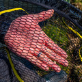 Nufish Glida Landing Net