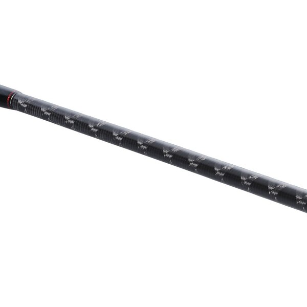 Canna da Eging Shimano Sephia BB EGI 