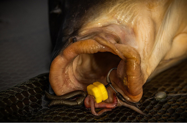 Pole Position Corn Maggotclip Single (5pcs)