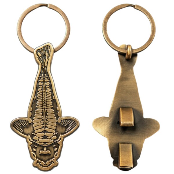 Kumu New Moon Bottle Opener