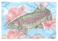 EBH Arts Vis Poster Rainbow Trout (Ingelijst)