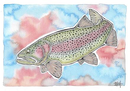 EBH Arts Vis Poster Rainbow Trout (Ingelijst)