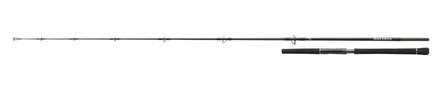 Daiwa Saltiga Light Game Meeresrute 8ft/2.40m 40-110g