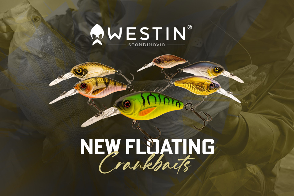 banner medium