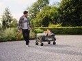 Coleman Ultimate Terrain Wagon