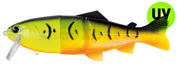 Castaic Real Bait Hard Head 8" - Firetiger