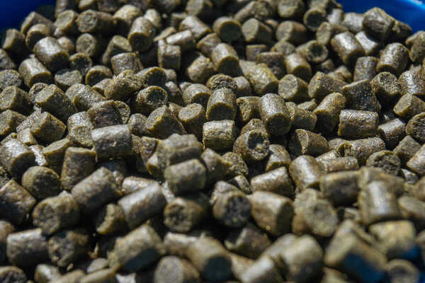 Sonubaits Marine Green Feed Pellets (900g)