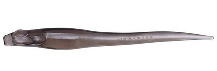Megabass Hazedong Shad 12.5cm (7 Stuks) Cinnamon / Solid