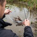 Everyfish Crayfish Trap Kreeften Net