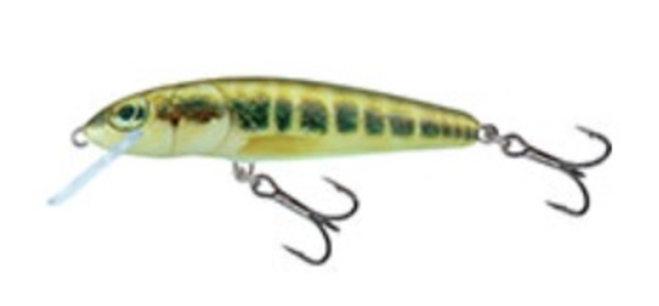 Salmo Minnow 6cm 4gr Floating 0,5-1m - Minnow