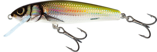 Salmo Minnow 6cm 4gr Floating 0,5-1m - Holo Bleak
