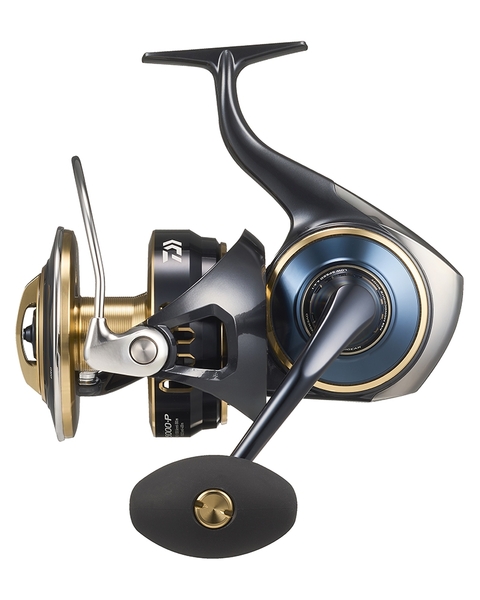 Daiwa 25 Saltiga