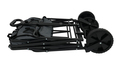 Ultimate Cargo Folding Wagon
