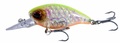 Ultimate Trout Lure Hengelset