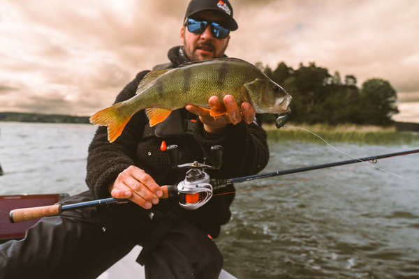 Abu Garcia Revo X VoltIQ LP Multiplikator LH (Elektroniczny System Hamulcowy)