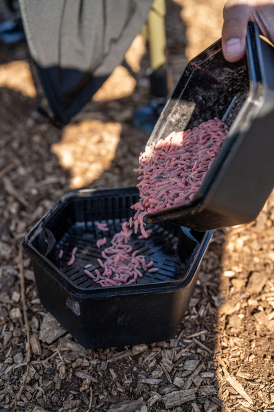 Zebco Secure-Lock Caja De Cebo de 2 L (incl. tamiz)