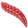 Korum Floating Grubs Imitatiemaden (40pcs)