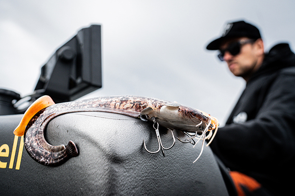 Fox Rage Ultra Natural Catfish Replicant Swimbait