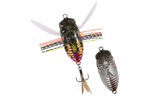 DUO Realis Shinmushi - CCC3233 - Sunset Moth
