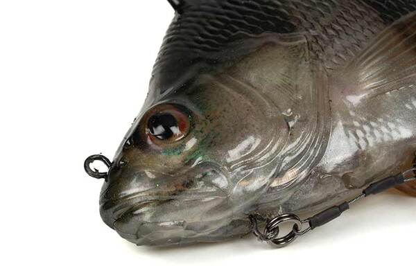 Fox Rage Ultra Natural Roach Replicant Swimbait 23cm  - Perch