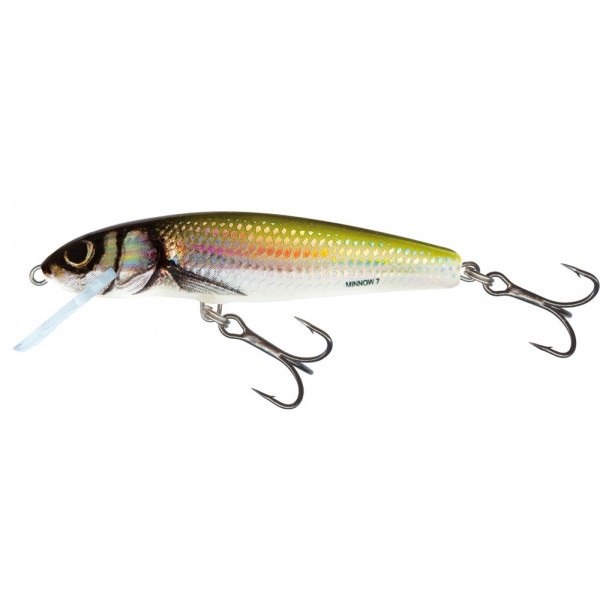Salmo Minnow Floating