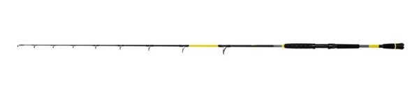 Black Cat Perfect Passion X Vertical Meervalhengel 1.90m (240g) (1-Delig)