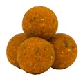 Avid Creamy Scopex Boilies (1kg)