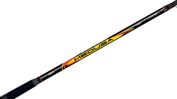 Colmic Medusa Tele Surf Hengel 4.20m (-250g)