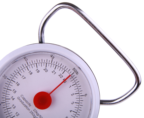 Ultimate Fishing Scale 22kg