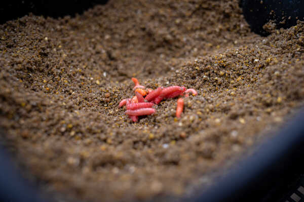 Sonubaits So Natural Groundbait (900g)