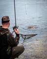 Fox Eos-X Landing Net 6ft (46") (1-Delige Steel)