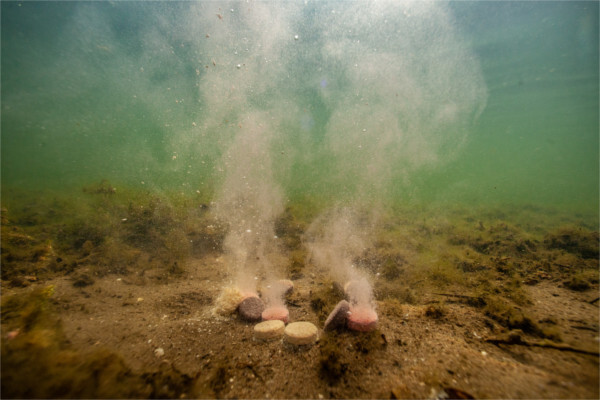 Ultimate Baits Up & Down Tablets 20 mm, release of scent, colour and flavour underwater