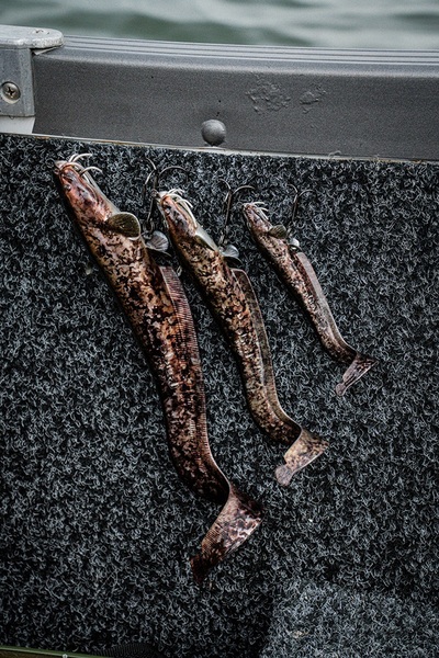 Fox Rage Ultra Natural Catfish Replicant Swimbait
