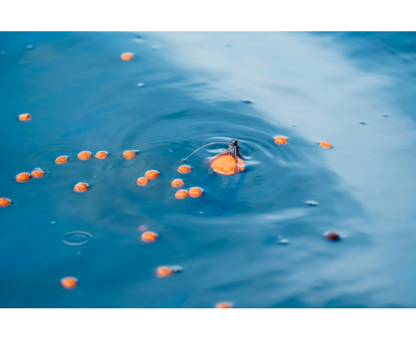 Korum Surface Feeder Float