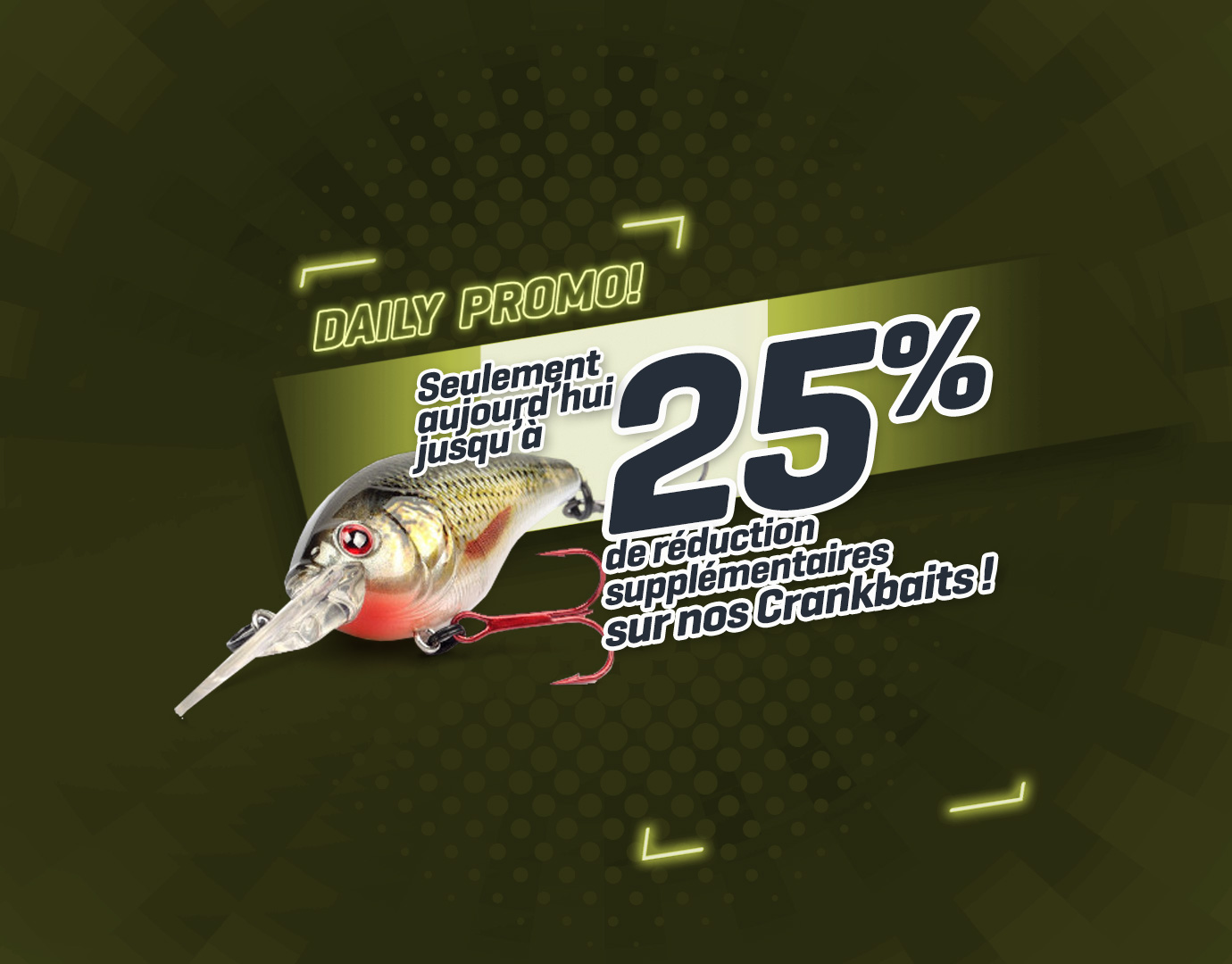 Subbanner: Tot 25% Pluggen