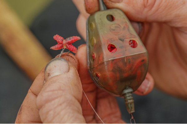 Guru Maggot Feeder (multiple options) Fishdeal