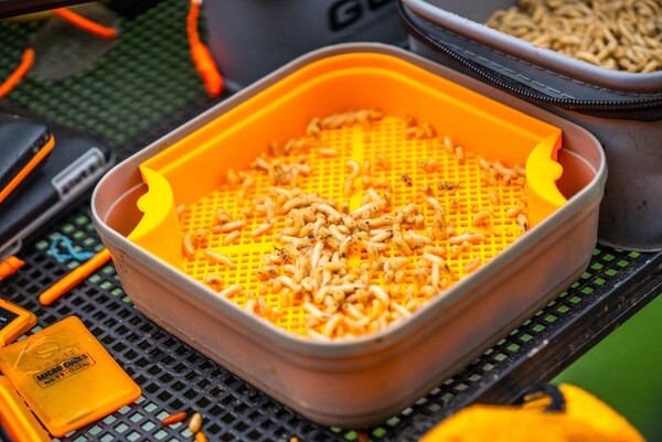 Guru Maggot Riddle Orange Baitstrainer