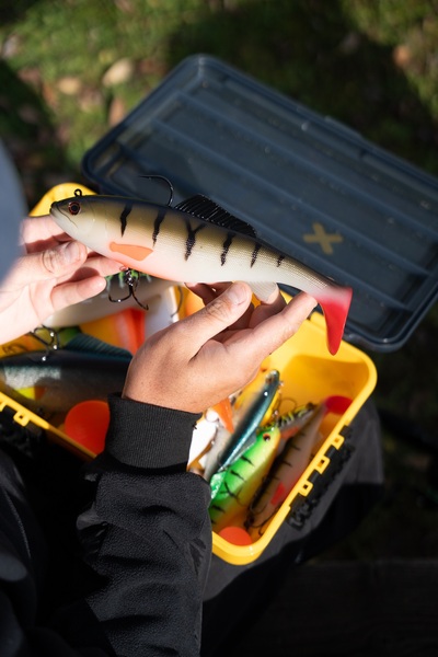 Illex Sucker Punch 250 MR Swimbait 25cm (205g)