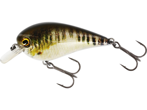 Westin BassBite 2.5 Squarebill Floating Lure 7cm (16g) - Real Minnow