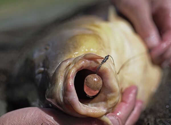 Pole Position Kicker Tungsten (10 piezas)